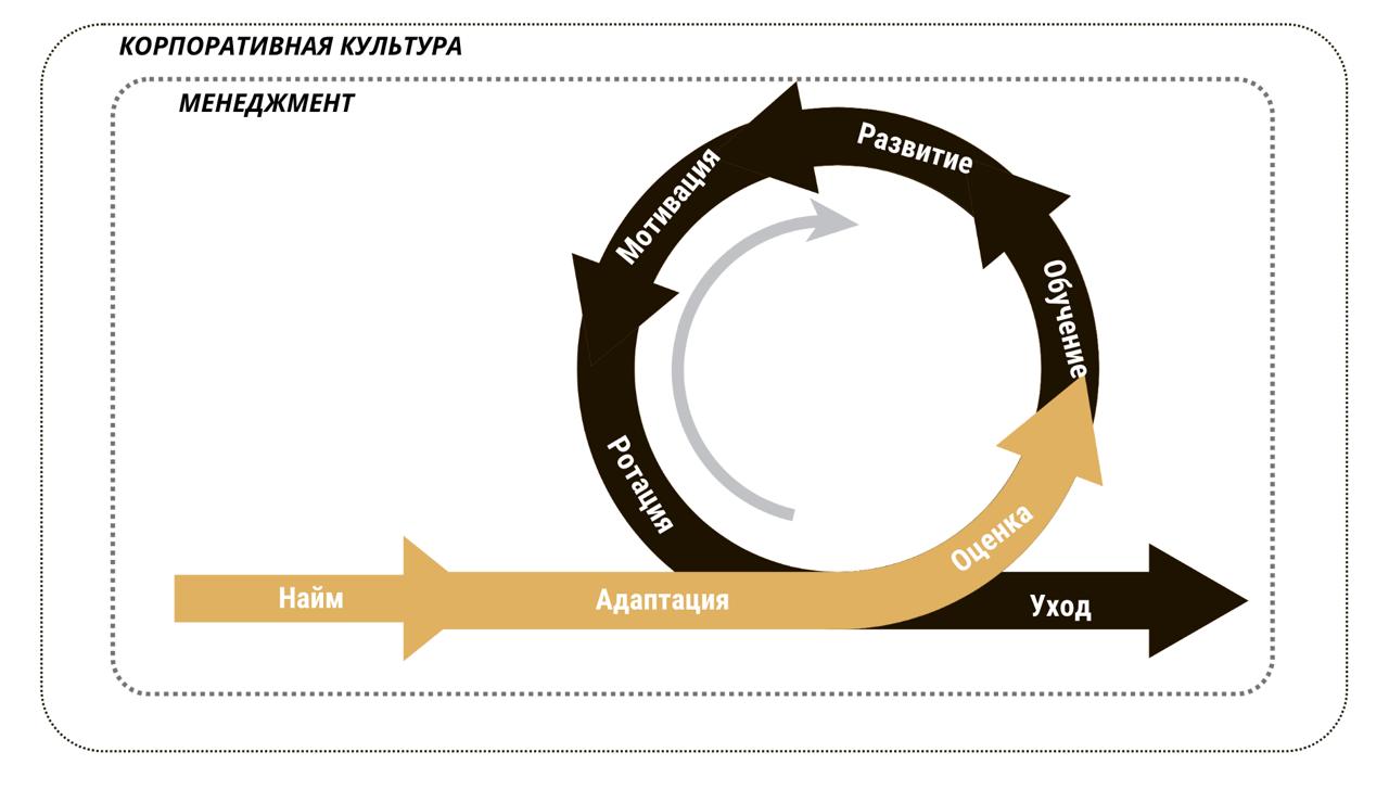 Жизненный цикл сотрудника